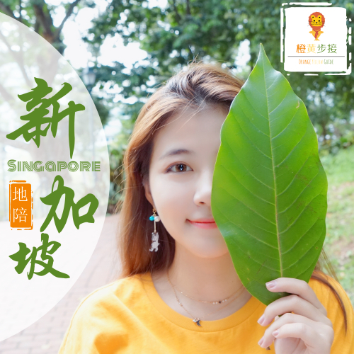 新加坡留學(xué)生陪游商務(wù)考察旅游翻譯