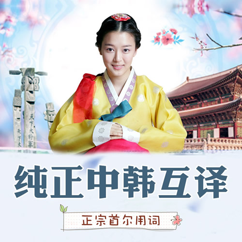 人工中文韓語(yǔ)簡(jiǎn)歷論文文檔文件駕照合同翻譯