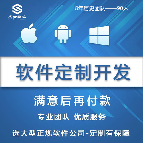 erp軟件定制saas系統(tǒng)管理項目