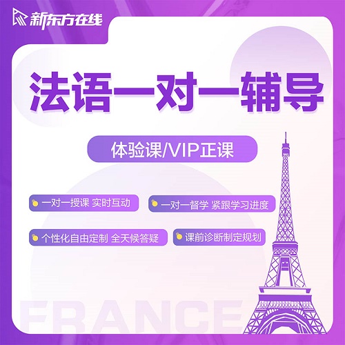輔導(dǎo)培訓(xùn)歐標(biāo)DELF/TEF考試 口語留學(xué)面簽