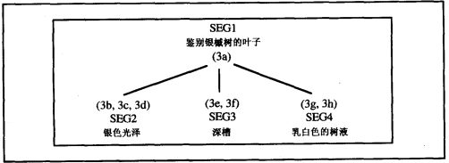 圖4.png