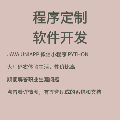 vue軟件程序 java前后端開發(fā) web網(wǎng)頁設計制作
