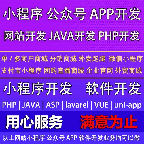 vue前端開發(fā) html網(wǎng)頁設計 css代碼js編寫