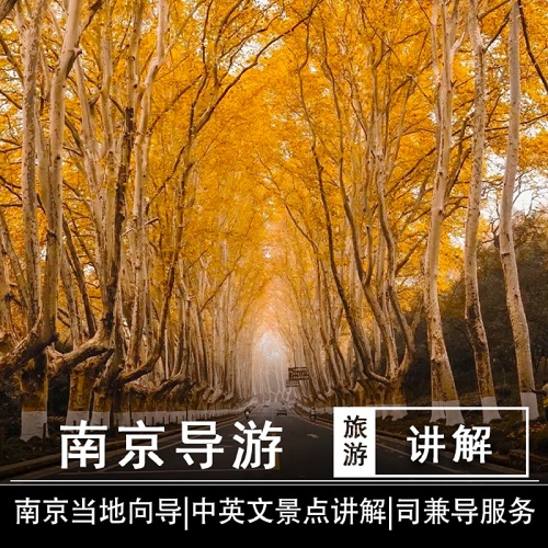 南京一日游中文英文導游講解服務