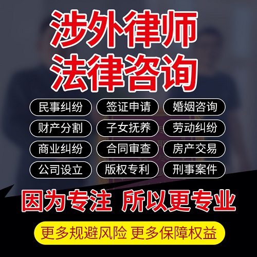 涉外律師 英法美國法律咨詢 留學(xué)出國簽證