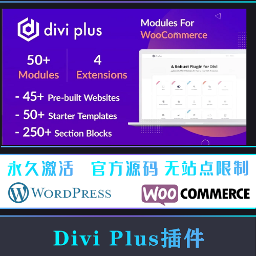 Divi Plus 漢化中文版 模板包