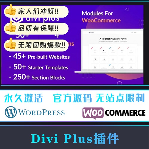 Divi Plus 漢化中文版 WordPress插件