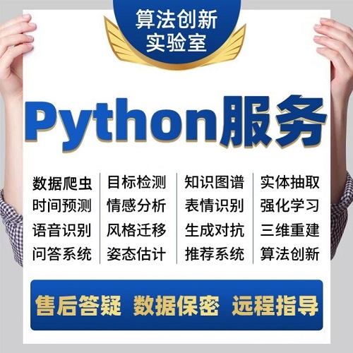 python代編程 深度學(xué)習(xí)算法代碼編寫 答疑大模型