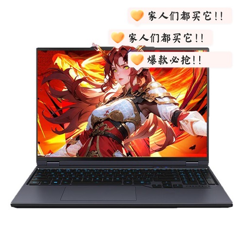 【政府補(bǔ)貼20%】機(jī)械革命 蛟龍16Pro 2025 16英寸筆記本電腦