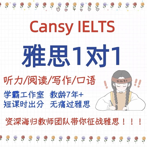 雅思一對(duì)一暑假班網(wǎng)課 全科定制