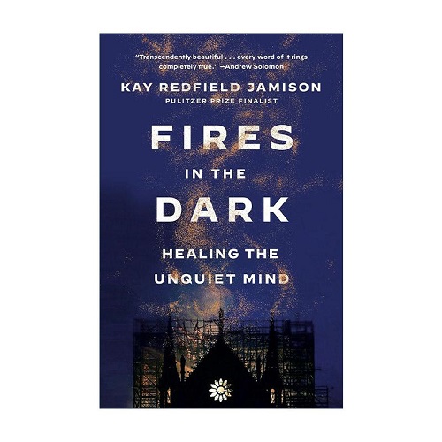 英文原版 Fires in the Dark 黑暗中的火焰 治愈不安的心靈