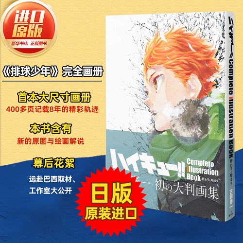 排球少年原畫集 日文原版 愛蔵版動漫漫畫書