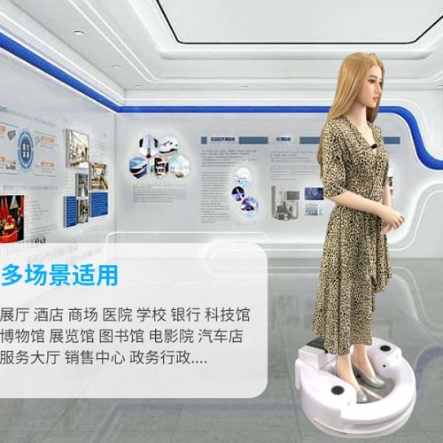 嚴(yán)選智能講解帶領(lǐng)迎賓機(jī)器人 接待機(jī)器人