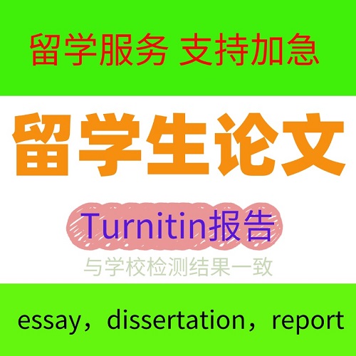 留學(xué)生essay 英文畢業(yè)論文檢測(cè)