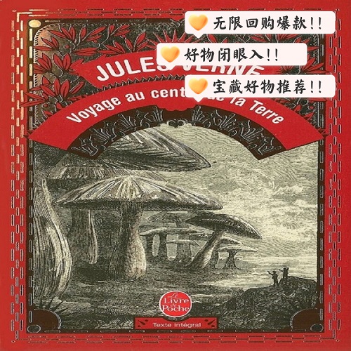 法語原版 地心歷險(xiǎn)記 凡爾納冒險(xiǎn)小說
